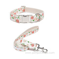 Design Nylon Dog Collar And Leash Set Wholesale